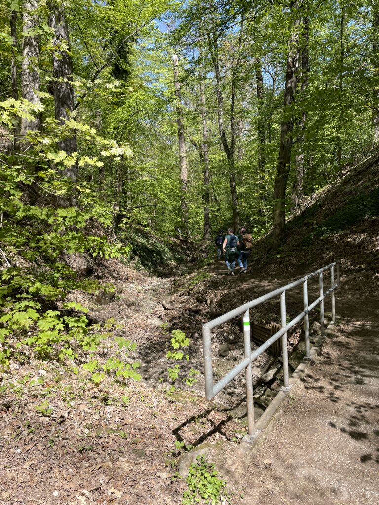 Weiter ging die Wanderung durch den Eutschützer Grund in Richtung Nöthnitzer Schloß.